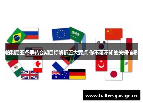 帕利尼亚冬季转会期目标解析五大要点 你不可不知的关键信息 帕利尼亚冬季转会期目标解析五大要点 你不可不知的关键信息